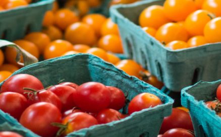 Green cardboard baskets filled with red and orange cherry tomatoes at a farmers market stand.